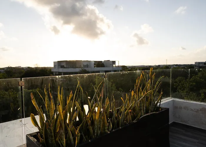 Amazing Penthouse & With Private Pool, Terrace , Roof And Hot Tub In Jungle *