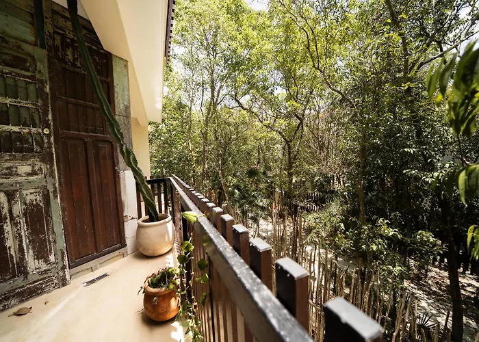 Apartamento Amazing Penthouse & With Private Pool, Terrace , Roof And Hot Tub In Jungle