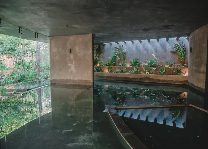 Apartamento Amazing Penthouse & With Private Pool, Terrace , Roof And Hot Tub In Jungle